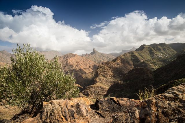 Gran Canaria-20x30