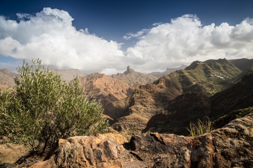 Fotoplátno Gran Canaria